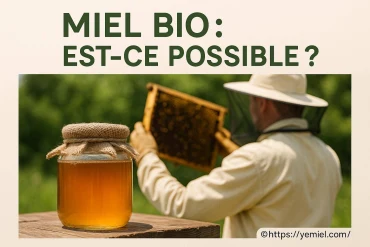 Miel bio : est-ce vraiment possible de trouver du miel authentique ?