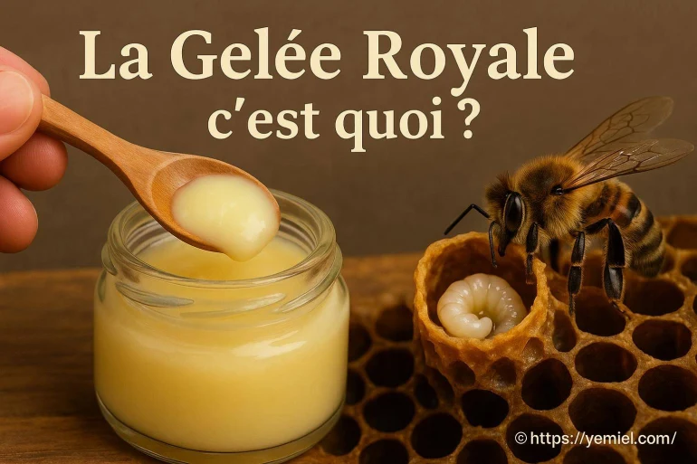 La gelée royale c'est quoi exactement ?