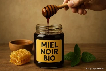 Le miel noir bio : spécificités, bienfaits et usages naturels
