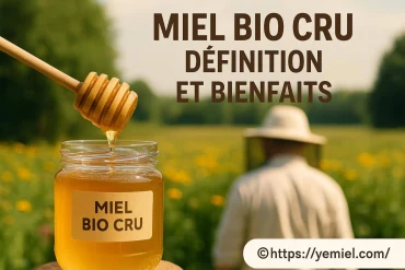 Miel bio cru : définition, propriétés et bienfaits pour la santé