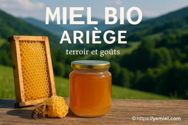Miel bio Ariège : découvrez les saveurs uniques du terroir