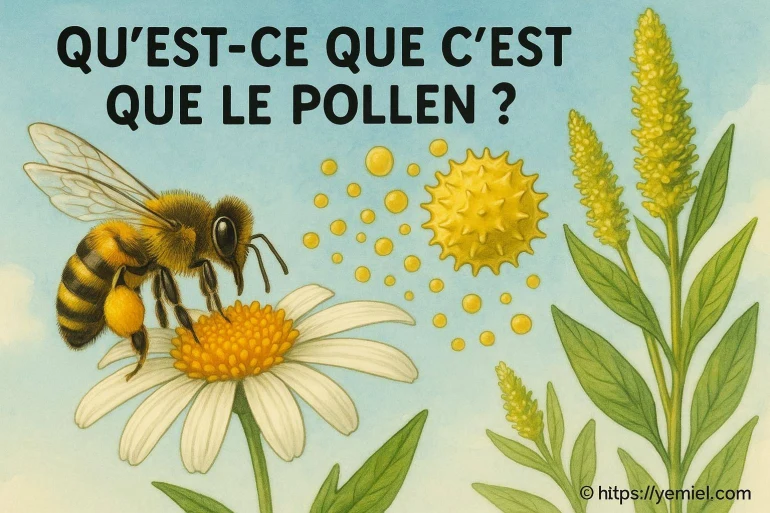 Pollen d’abeille et allergies : précautions avant d’en consommer