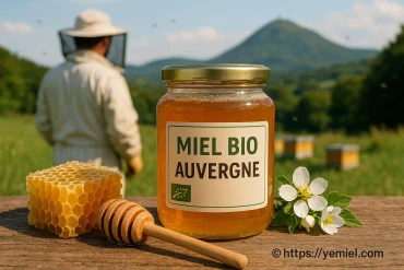Miel bio Auvergne : quelles sont ses spécificités uniques ?