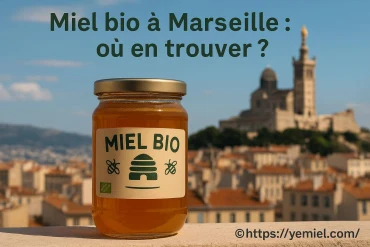 Miel bio à Marseille : où trouver les meilleures adresses ?