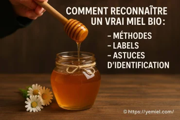 Comment reconnaître un vrai miel bio : méthodes, labels et astuces d'identification