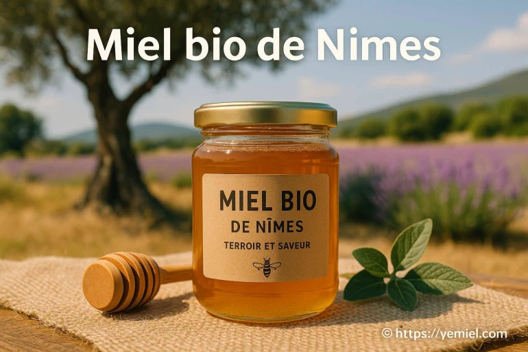 Miel bio de Nîmes : découvrez le terroir et ses saveurs uniques
