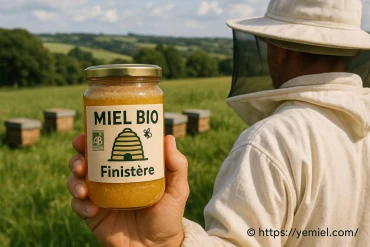 Miel bio Finistère : découvrez la richesse de la production locale
