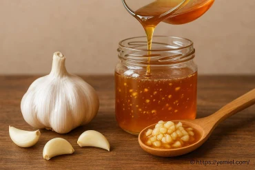 VH miel et ail : recette facile pour profiter de leurs bienfaits