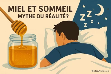 Miel et sommeil : mythe ou réalité ?