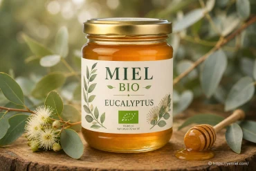 Miel bio eucalyptus : bienfaits, goût et utilisation