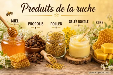 Produits de la ruche : miel, propolis, pollen, gelée royale et cire