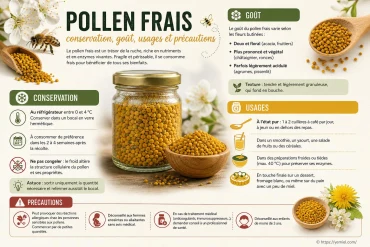 Pollen frais : conservation, goût, usages et précautions