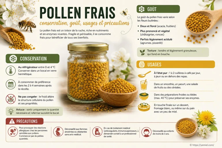 Pollen frais : conservation, goût, usages et précautions