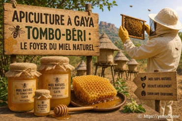 Apiculture à Gaya : Tombo-béri, le foyer du miel naturel