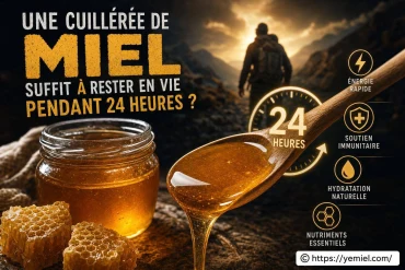 Une cuillérée de miel suffit-elle à rester en vie pendant 24 heures ?