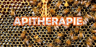 Apithérapie : produits de la ruche, usages et précautions