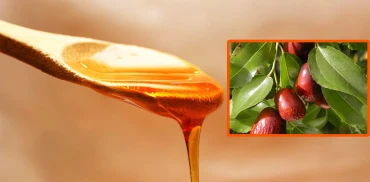 Miel de jujubier du Yémen : Sidr, goût et bienfaits