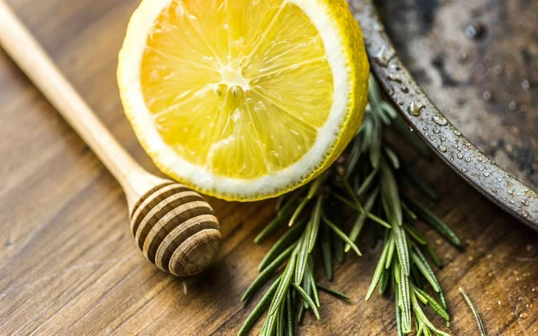 Miel de thym : goût, bienfaits et utilisations