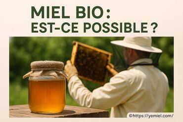 Miel bio : est-ce vraiment possible de trouver du miel authentique ?