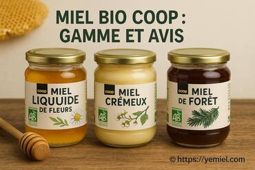 Miel bio Coop : découvrez la gamme et notre avis complet