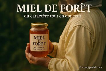 Miel de forĂȘt : un Ă©quilibre entre caractĂšre et douceur