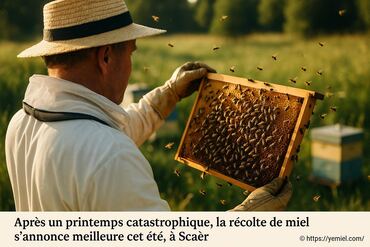 AprÚs un printemps difficile, la récolte de miel s'améliore cet été à Scaër