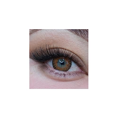 MYSALENS® Lentilles De Contact De Couleur Honey Miel 3 Ton K