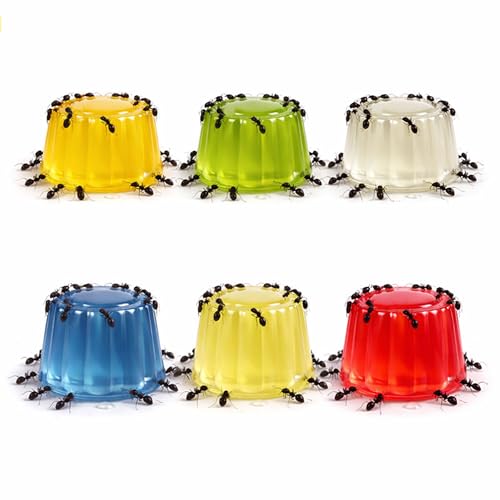 ANTHILLSHOP Nourriture pour Fourmis, friandises énergétiques