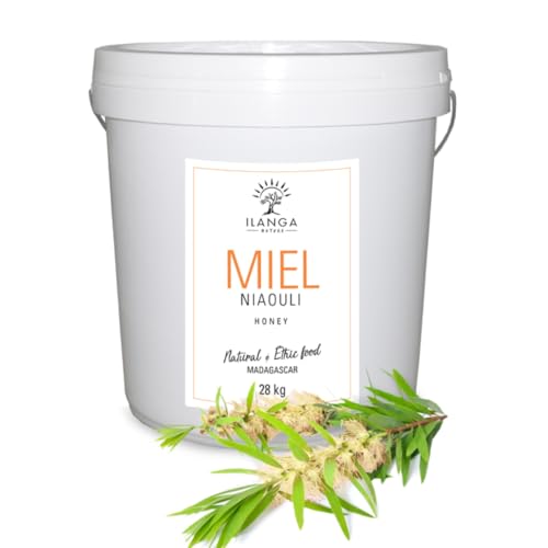 Ilanga Nature - Miel de Niaouli 28Kg | Madagascar