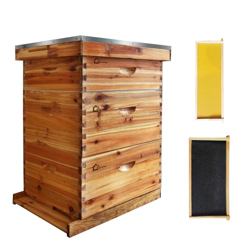 Kit de démarrage de ruche avec 2 boîtes profondes + 1 boîte