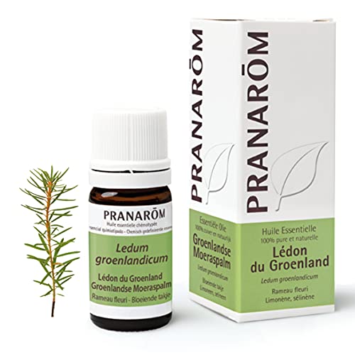Pranarôm Huile Essentielle Lédon du Groenland 5 ml