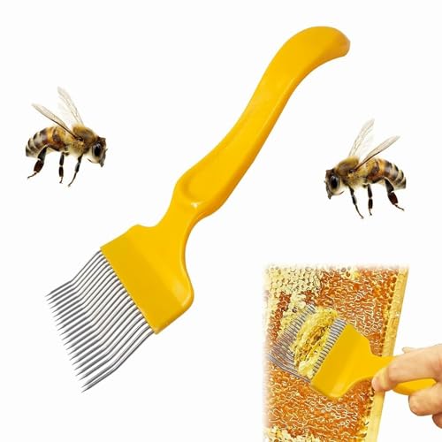 Abeille Fourche à Désoperculer, Apiculture Fourche à Désoper