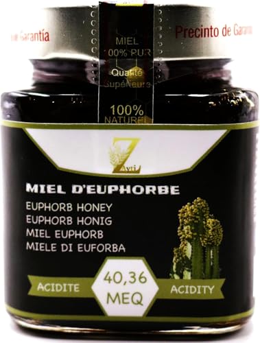 Miel dEuphorbe 100% pur & Naturel. Miel Cru de Daghmous. Vra