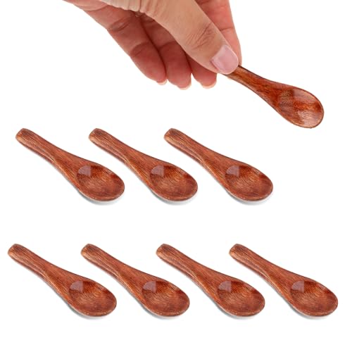 Lot de 8 petites cuillères en bois marron de 5,8 cm pour pot