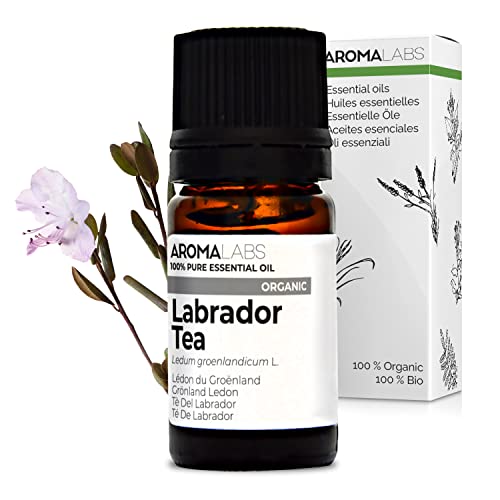 Lédon Du Groenland BIO (Ledum groenlandicum) - 5 mL - Huile