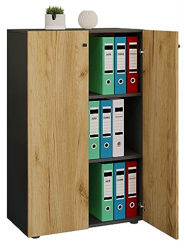 VCM Armoire de Bureau Livres Dossiers Meuble de Bureau Armoi