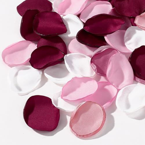 BetterJonny 400 Pétales de Rose Rouge Artificielle pour Nuit