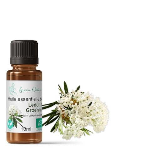 Huile essentielle Bio Ledon du Groenland - Flacon de 10ml