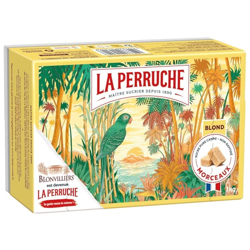 BEGHIN SAY Sucre Pure Canne Morceaux Blond 1kg - Non Raffiné